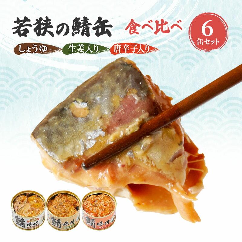 【ふるさと納税】サバ缶 若狭の鯖缶 3種 食べ比べ 6缶 セ