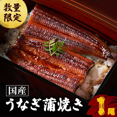 楽天ふるさと納税　【ふるさと納税】うなぎ 数量限定 国産 蒲焼き 1尾 老舗うなぎ専門店 徳右ェ門 鰻 ウナギ 魚介 魚介類 海鮮 福井県 福井　【 若狭町 】