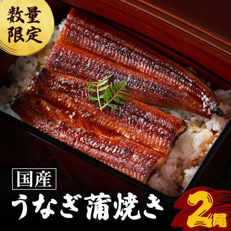 名称うなぎ蒲焼2尾内容量創業100年を越える若狭のうなぎ料理専門店、「徳右ェ門」の蒲焼きを1尾（約160g）×2。 【原材料】ニホンウナギ（国産）、醤油（小麦・大豆を含む）、本みりん、砂糖／アルコール タレ：50cc×1 【原材料】醤油、みりん、砂糖、アルコール原材料二ホンウナギ（国産）、醤油（小麦・大豆を含む）、本みりん、砂糖/アルコールタレ（醤油　みりん　砂糖　アルコール）賞味期限別途ラベルに記載保存方法冷凍、マイナス20℃以下で保存してください。製造者（有）徳右ヱ門　福井県三方上中郡若狭町鳥浜44-18事業者特定非営利活動法人若狭物産協会配送方法冷凍配送備考※画像はイメージです。 ※以下の期間は発送不可日とさせていただきます。 　夏の土用の丑の日、前後数日間 ※寄附ご入金からお届けまでに半月以上かかる場合がございます。お届け日につきましてはご指定出来かねますのでご了承下さい。 ※離島配送不可となります。 ※上記のエリアからの申し込みは返礼品の手配が出来ないため、「キャンセル」または「寄附のみ」とさせていただきます。予めご了承ください。 ・ふるさと納税よくある質問はこちら ・寄附申込みのキャンセル、返礼品の変更・返品はできません。あらかじめご了承ください。【ふるさと納税】【祝北陸新幹線延伸】うなぎ 数量限定 国産 蒲焼き 2尾 老舗うなぎ専門店 徳右ェ門 鰻 ウナギ 魚介 魚介類 海鮮 福井県 福井　【 若狭町 】 【配送不可：離島】 創業100年を越える若狭のうなぎ料理専門店、「徳右ェ門」の蒲焼きを2尾。 創業1888年、若狭町鳥浜にある老舗のうなぎ専門店。 「関東風の割き方」と「関西風の焼き方」を組み合わせ、多くのお客様に満足していただいております。解凍し、うな丼などでお楽しみください。 寄附金の用途について (1) 子育てを支援 (2) 教育の充実 (3) 高齢者・障害者福祉 (4) 町長が必要と認める事業 受領証明書及びワンストップ特例申請書のお届けについて 入金確認後、注文内容確認画面の【注文者情報】に記載の住所にお送りいたします。 発送の時期は、入金確認後1～2週間程度を目途に、お礼の特産品とは別にお送りいたします。 ■　ワンストップ特例について ワンストップ特例をご利用される場合、1月10日までに申請書が下記住所まで届くように発送ください。 　〒430-7712　静岡県浜松市中央区板屋町111－2　浜松アクトタワー12階 　レッドホースコーポレーション株式会社 　ふるさと納税サポートセンター　「若狭町　ふるさと納税」　宛 マイナンバーに関する添付書類に漏れのないようご注意ください。