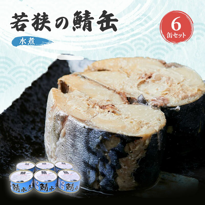 サバ缶 若狭の鯖缶 6缶 セット 水煮 鯖缶 さば サバ 鯖 缶 缶詰 魚 魚介 魚介類 海鮮 福井 若狭町 [ 福井県若狭町 ]