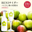 【ふるさと納税】BENIサイダー　250ml　24本セット[高島屋選定品］　【飲料類・サイダー・飲料類・炭酸飲料】