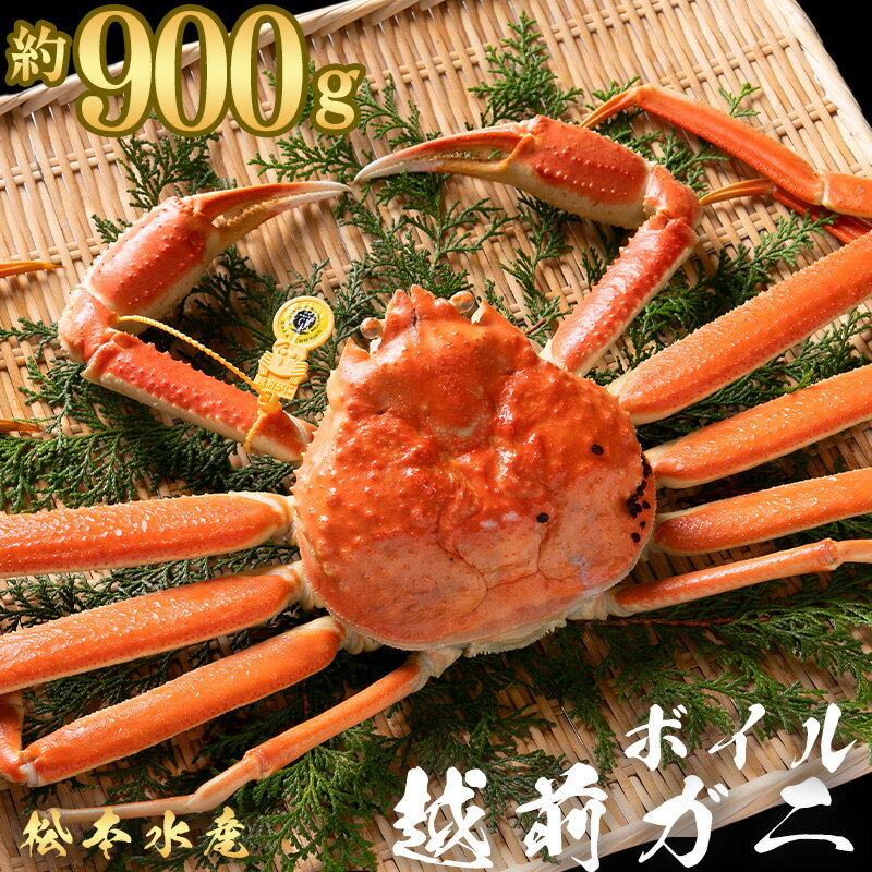 【ふるさと納税】越前ガニ ボイル 約900g[高島屋選定品］越前がに 越前かに 越前カニ ずわいがに ズワイガニ 蟹 かに カニ ボイルガニ　【蟹 カニ b1101 】　お届け：2023年11月下旬〜2024年3月20日･･･