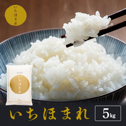 米 令和5年産 いちほまれ 5kg 福井 高級ブランド米 お米 おこめ コメ こめ 白米 精米 ご飯 ごはん 福井県　【 若狭町 】