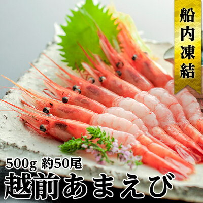 【ふるさと納税】【祝北陸新幹線延伸】日本海甘えび 子無し 500g(約50尾)　【甘海老 あまエビ 魚介類 b1103 】　お届け：2024年6月頃から出荷開始します。