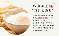 【ふるさと納税】【先行受付】令和5年産 福井県若狭町コシヒカリ（1等米）10kg（三宅カントリーファーム）　【お米・コシヒカリ】　お届け：2023年10月1日〜2023年12月1日まで･･･ 画像2