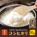 【ふるさと納税】【先行予約】【令和5年産】 福井県若狭町コシヒカリ（1等米）10kg（苧営農組合）　【お米 コシヒカリ b1102 】　お届け：2023年10月1日〜2024年6月30日･･･