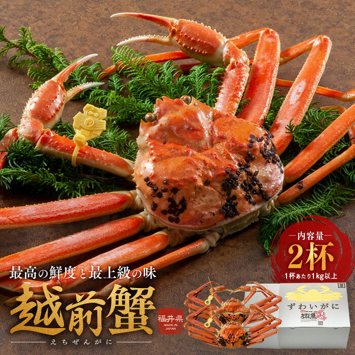 【ふるさと納税】期間限定 茹で 越前ガニ 約1kg以上 2杯 食通もうなる本場の味をぜひご堪能ください 茹でガニ ズワイガニ カニ 蟹 海鮮 福井県 若狭町　お届け：2025年11月10日～2026年3月31日（年末年始を除く）