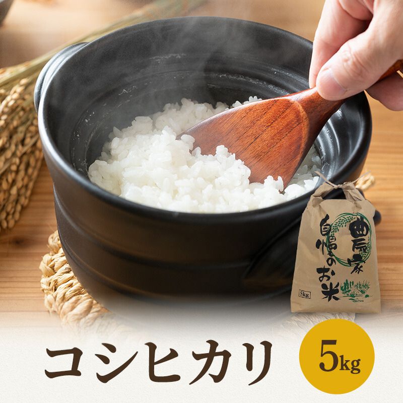 35位! 口コミ数「0件」評価「0」米 令和6年 先行予約 コシヒカリ 5kg 一等米 お米 おこめ こめ コメ 白米 精米 新米 ご飯 ごはん 山心ファーム 福井県 福井　【･･･ 