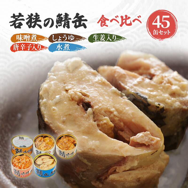 【ふるさと納税】サバ缶 食べ比べセット 45缶 セット 詰め合わせ 若狭の鯖缶 5種 味噌煮 しょうゆ 生姜入り 唐辛子入り 水煮 鯖缶 さば缶 さば サバ 鯖 缶詰 缶詰め 魚 魚介 魚介類 海鮮 水煮缶 食べ比べ 福井 福井県 若狭町のサムネイル