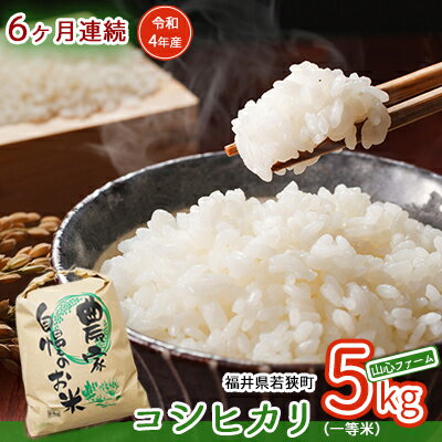 【ふるさと納税】【6ヶ月連続】令和5年産福井県若狭町コシヒカリ（一等米）5kg（山心ファーム）　【定期便・お米・コシヒカリ・福井県産・甘い】　お届け：2023年10月～2024年8月のサムネイル