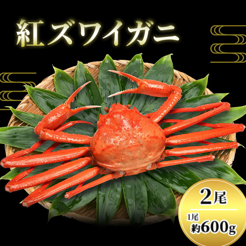 カニ 紅ずわいがに 600g前後×2尾 茹でガニ 蟹 かに ベニズワイガニ 紅ずわい蟹 紅ズワイガニ ズワイガニ ずわい蟹 ずわいがに ボイルガニ 魚介 魚介類 海鮮 福井県 福井　【 若狭町 】