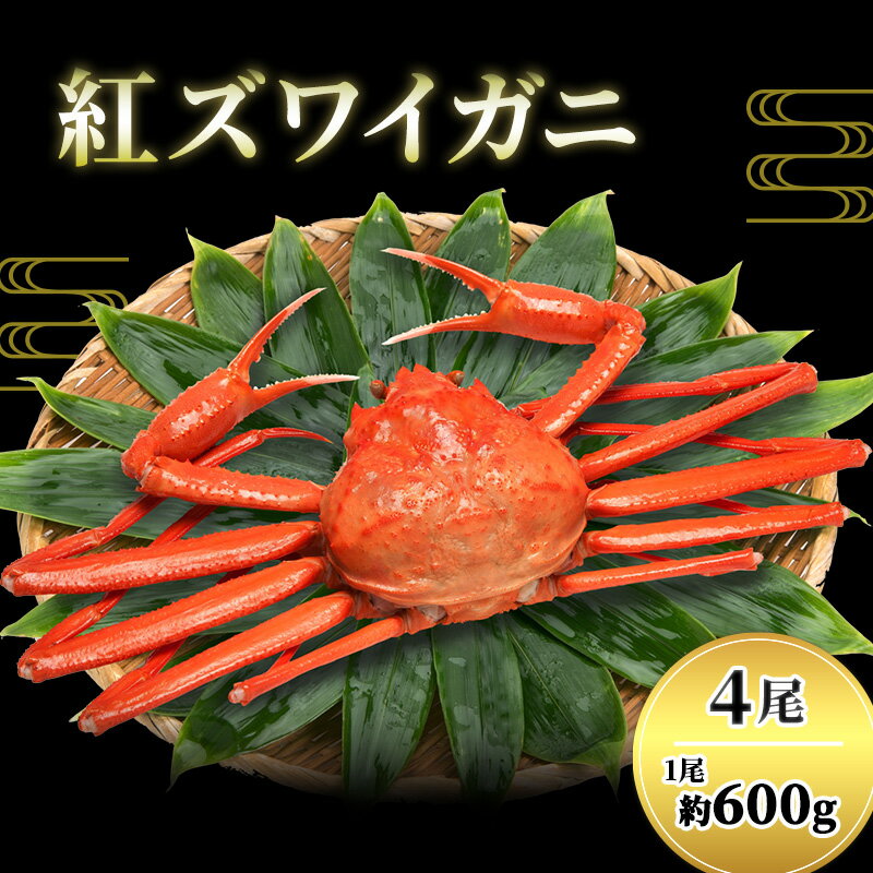 【ふるさと納税】カニ 紅ずわいがに 600g前後×4尾 茹で