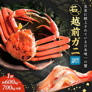 【ふるさと納税】訳あり 茹で 越前ガニ 約600g~700g未満 1杯 年末配送 食通もうなる本場の味をぜひ、ご堪能ください 越前かに 蟹 カニ かに ボイルカニ ボイル蟹 ポーション ズワイガニ 海鮮 脚折れ 訳アリ 福井 福井県 若狭町 お届け:2025年12月28日~30日