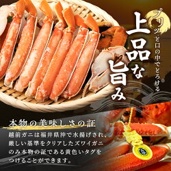 【ふるさと納税】茹で越前ガニ【年末お届け】食通もうなる本場の味をぜひ、ご堪能ください。約600g〜700g未満×1杯 訳あり（脚折れ）越前がに 越前かに ずわいがに かに カニ ボイルガニ　【蟹・カニ・蟹・カニ】　お届け：2022年12月28日〜30日･･･ 画像2