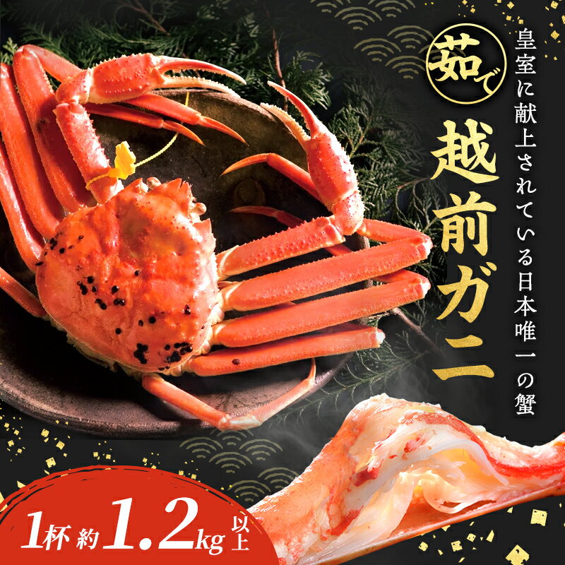 【ふるさと納税】茹で 越前ガニ 約1.2kg以上 1杯 年末配送 食通もうなる本場の味をぜひ、ご堪能ください 越前かに 蟹 カニ かに ボイルカニ ボイル蟹 ポーション ズワイガニ ずわい蟹 海鮮 福井 福井県 若狭町　お届け：2023年12月28日～30日のサムネイル