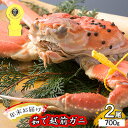 【ふるさと納税】茹で越前ガニ【年末お届け】食通もうなる本場の味をぜひ、ご堪能ください。約700g 2尾セット 越前がに 越前かに 越前カニ カニ ボイルガニ 蟹 お届け:2025年12月28日~30日