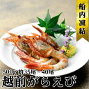【ふるさと納税】越前ガラエビ 約500g(約35~40尾) 魚介類 国産 福井県産 刺身 ねっとり 甘い 弾力 濃厚 旨味 塩焼き 煮つけ 味噌汁の具 船内凍結 獲れたてのような味