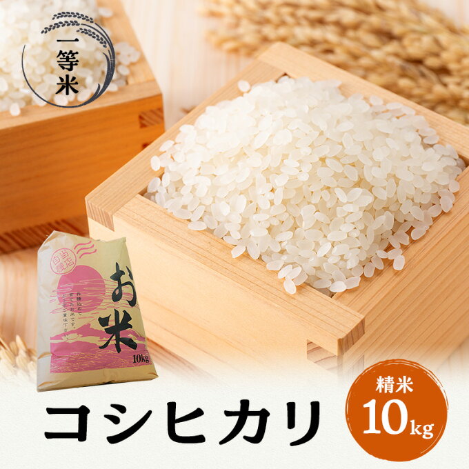 【ふるさと納税】【令和4年福井県若狭町産】コシヒカリ（1等米）精米10kg　【 お米...