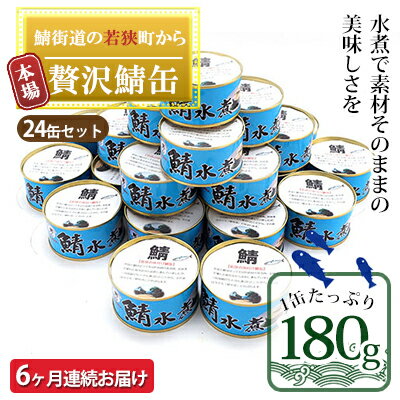 【6ヶ月連続お届け】若狭の鯖缶24缶セット（水煮）　【定期便・ 加工食品 魚の加工品 鯖の缶詰 水煮缶 鯖の水煮 鯖の水煮缶 つまみ 調理 食材 魚の缶詰 お魚 食品 ストック 塩味 ノルウェー産 ノルウェー産鯖 DHA 便利 手軽 酒のあて 】