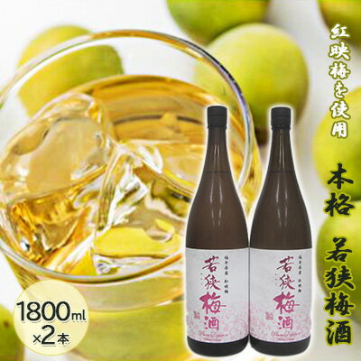 福井県産 紅映梅を使用した本格梅酒 若狭梅酒（1800ml）2本セット　　【お酒・洋酒・リキュール・お酒・洋酒・リキュール類】