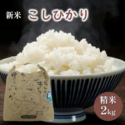 [先行予約]こしひかり2kg(令和5年産)特別栽培米 若狭・天狗山農園 [ お米 代表 食感 精米 農薬 化学肥料 白米 ] お届け:2023年9月25日から発送いたします。