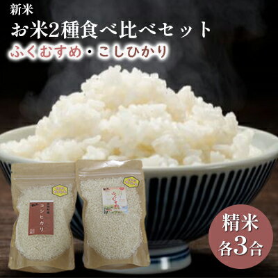 【ふるさと納税】【先行予約】お米2種食べ比べセット（令和5年産）合計6合　【 お米 もちもち 人気 もち米 食感 農薬 化学肥料 代表 精米 白米 】　お届け：2023年9月25日から発送いたします。･･･