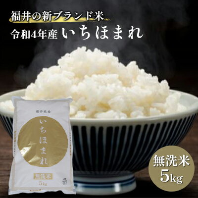 無洗米　いちほまれ5kg（令和5年産）福井の新ブランド米　【 お米 白米 精米 名作 粒感 粘り 絶妙 優しい 甘さ 】