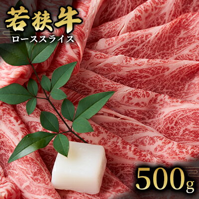 [若狭牛]ローススライス500g 国産牛肉 北陸産 福井県産牛肉 若狭産 [ お肉 食材 最高級 和牛肉 きめ細やかなサシ 柔らかい肉質 甘み とろける 後味さっぱり ] お届け:2024年1月12日以降配送いたします。