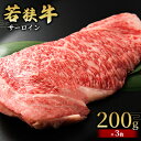 【ふるさと納税】 【若狭牛】サーロイン200g×3枚 国産牛肉 北陸産 福井県産牛肉 若狭産　【 お肉 食材 最高級 和牛肉 きめ細やかなサシ 柔らかい肉質 甘み とろける おうちディナー 】　お届け：2024年1月12日以降配送いたします。