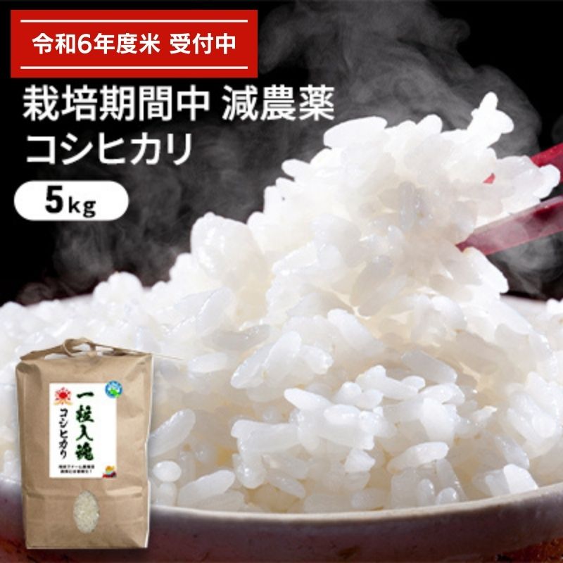 令和5年産 栽培期間中減農薬 コシヒカリ 5kg [ お米 精米 白米 玄米 ブランド米 銘柄米 ご飯 おにぎり お弁当 和食 産地直送 粘り 香り 旨み つや ] お届け:2023年9月下旬〜2024年8月31日