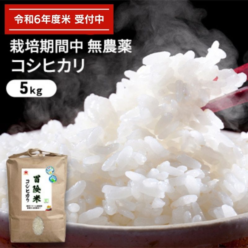 令和5年産 栽培期間中無農薬コシヒカリ 5kg [ お米 精米 白米 玄米 ブランド米 銘柄米 ご飯 おにぎり お弁当 和食 産地直送 粘り 香り 旨み つや ] お届け:2023年9月下旬〜2024年8月31日