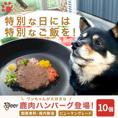 1位! 口コミ数「0件」評価「0」鹿肉ドッグフード　鹿肉ハンバーグ（犬用）　10個（約50g×10個）　【 加工食品 お肉 家族 健康 食事 大切 ペット 自然 新鮮 動物 ･･･ 