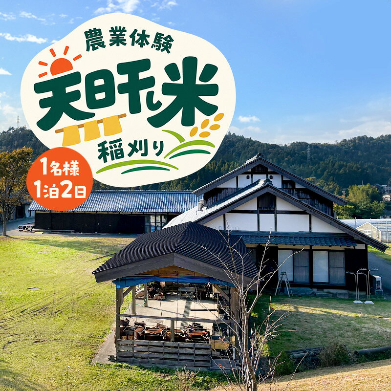 〜天日干し米 稲刈り〜 農業体験 1名様 1泊2日