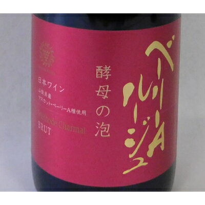 【ふるさと納税】山梨県産ベーリーA種から造った辛口赤のスパークリングワイン【マンズワイン】【配送不可地域：離島】【1217898】