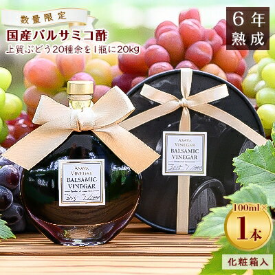 【数量限定】濃厚で芳醇な味わい!6年熟成・山梨県産バルサミコ酢100ml×1本【配送不可地域：離島】【1230954】