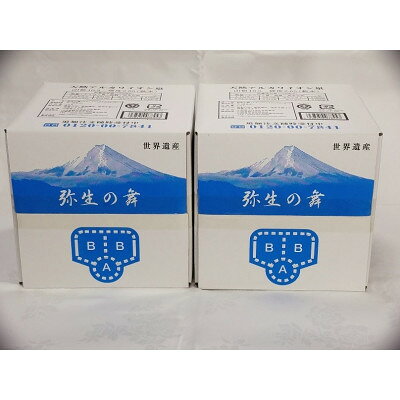 飲む温泉水「真木温泉 弥生の舞」飲泉力(10リットル×2箱)【配送不可地域：離島】【1289049】