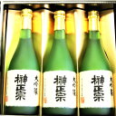 【ふるさと納税】榊正宗 大吟醸 3本セット 720ml【配送不可地域：離島】【1296098】