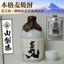 【ふるさと納税】山梨県産 本格麦焼酎 徳利瓶 720ml 1本【配送不可地域：離島】【1312674】