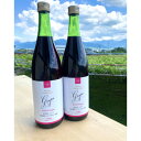 【ふるさと納税】お酢のイメージを変える!ドリンクビネガーぶどう 2本セット ー飲むワインビネガー(飲む酢)-【配送不可地域:離島】【1336547】