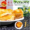 【ふるさと納税】八ヶ岳パイ工房の紅玉りんごのアップルパイ 直径15cmホール スイーツ 洋菓子 ギフト【配送不可地域:離島・沖縄県】【1401432】