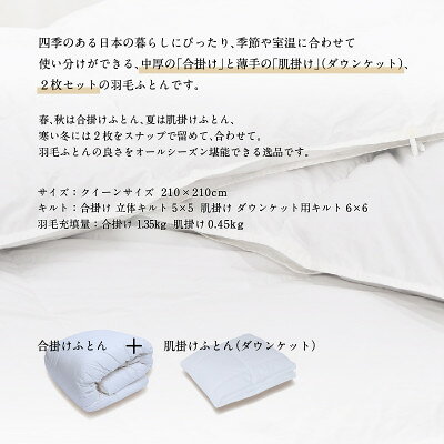 【ふるさと納税】【富士新幸謹製】DOWNPASS 二枚合わせ 羽毛ふとん・クイーン|ハン...