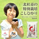 人気ランキング第6位「山梨県」口コミ数「0件」評価「0」【令和5年産】お米マイスターが選ぶ!山梨県産『北杜市の特別栽培こしひかり』精米5kg【配送不可地域：離島】【1483624】