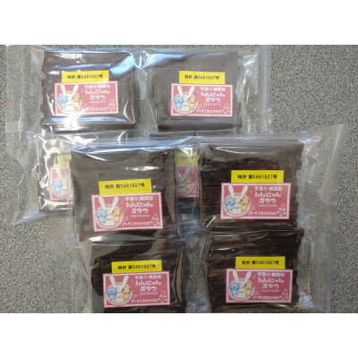 【ふるさと納税】わんにゃんおやつハードタイプ(ペット用)【配送不可地域:離島】【1484534】