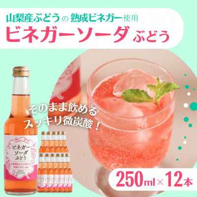 【ふるさと納税】山梨産ぶどう100%の熟成ビネガーで造った!そのまま飲める【ビネガーソーダぶどう12本セット】【配送不可地域:離島】【1537862】