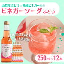 【ふるさと納税】山梨産ぶどう100%の熟成ビネガーで造った!そのまま飲める【ビネガーソーダぶどう12本セット】【配送不可地域:離島】【1537862】