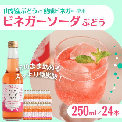 【ふるさと納税】山梨産ぶどう100%の熟成ビネガーで造った!そのまま飲める【ビネガーソーダぶどう24本セット】【配送不可地域:離島】【1537865】
