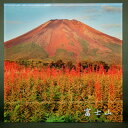 【ふるさと納税】富士山アクリルパネル 30SQ 夏【配送不可地域:離島】【1542273】