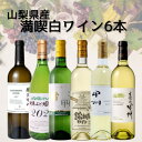 【ふるさと納税】山梨県産ワイン満喫白6本セット(2)006【配送不可地域:離島】【1606792】