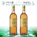 【ふるさと納税】マンズ ワイナリー ワインメーカーズ梅酒 琥珀彩 2本セット【配送不可地域:離島】【1607396】