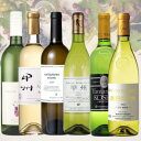 【ふるさと納税】甲州ワイン6本セット 029【配送不可地域:離島】【1625018】